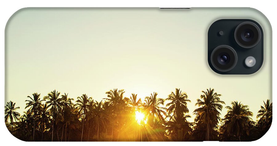 Surfing iPhone Case featuring the photograph Palms And Rays by Nik West