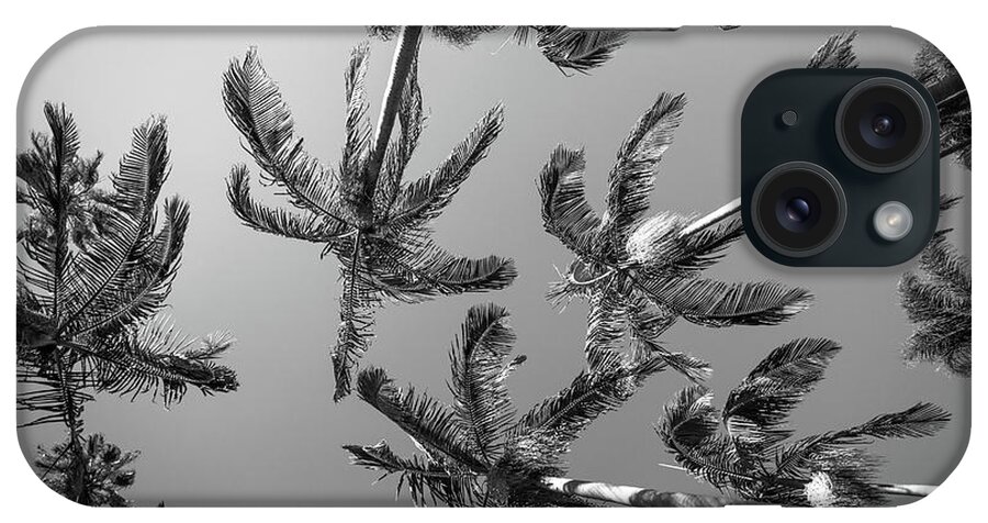 Palm Trees iPhone Case featuring the photograph Palms Up IV by Ryan Weddle