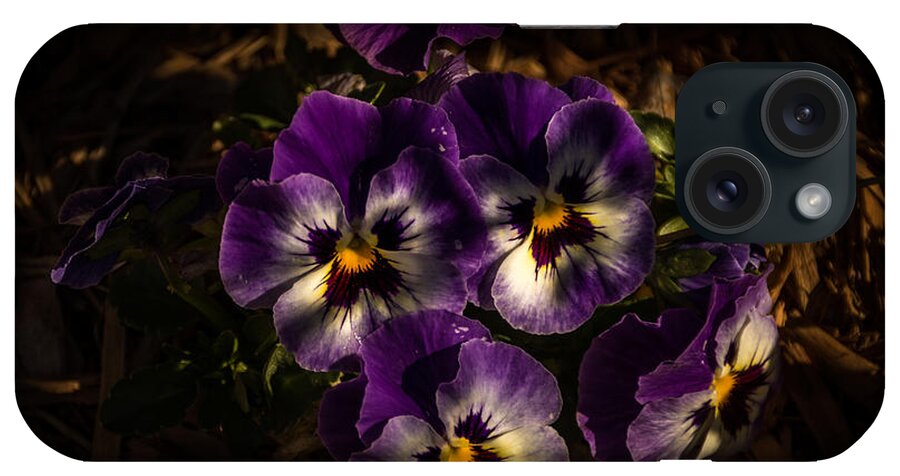 Jay Stockhaus iPhone Case featuring the photograph Pansies by Jay Stockhaus