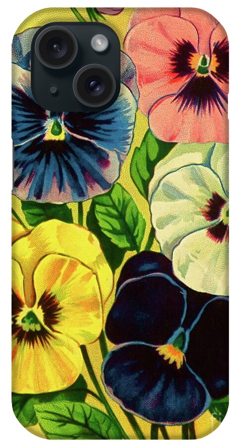 Pansy Flowers Litho Print iPhone Case featuring the photograph Pansy Flowers Print by Robert Birkenes