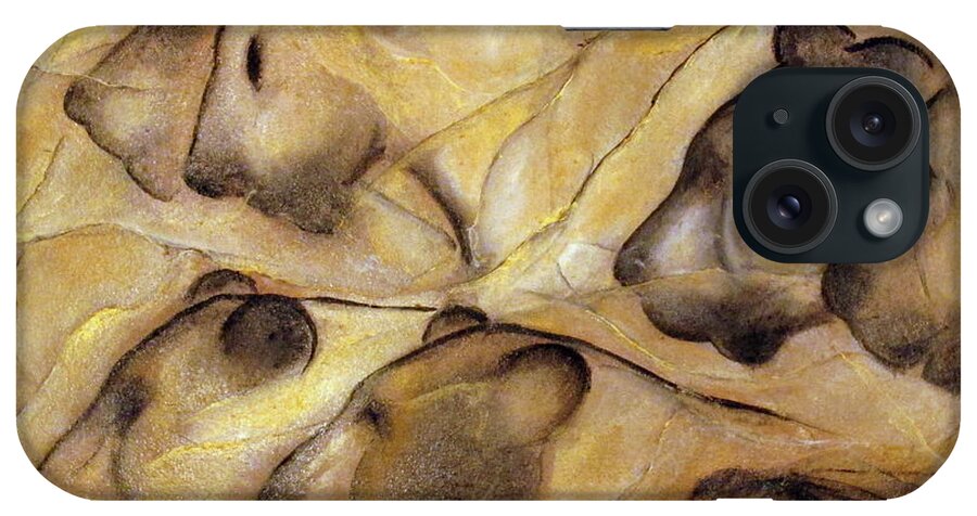 Lascaux iPhone Case featuring the painting Panthera leo Lascaux by Bonnie Dulebohn