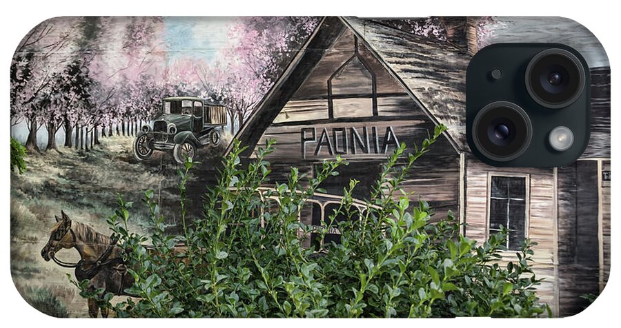 Mural iPhone Case featuring the painting Paonia Colorado Artwork by Janice Pariza