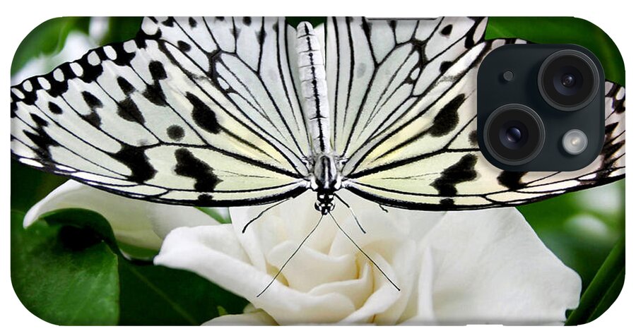 Paperkite iPhone Case featuring the photograph Paperkite on Gardenia by Kristin Elmquist