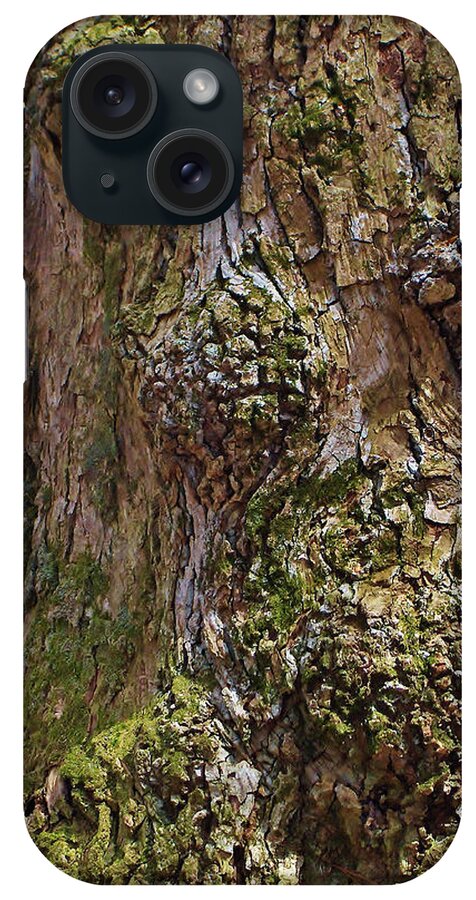 Tree Trunk iPhone Case featuring the photograph Party on the Tree Trunk by Kathi Mirto