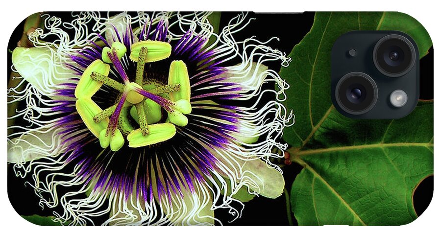 Hawaii Iphone Cases iPhone Case featuring the photograph Passion Flower by James Temple