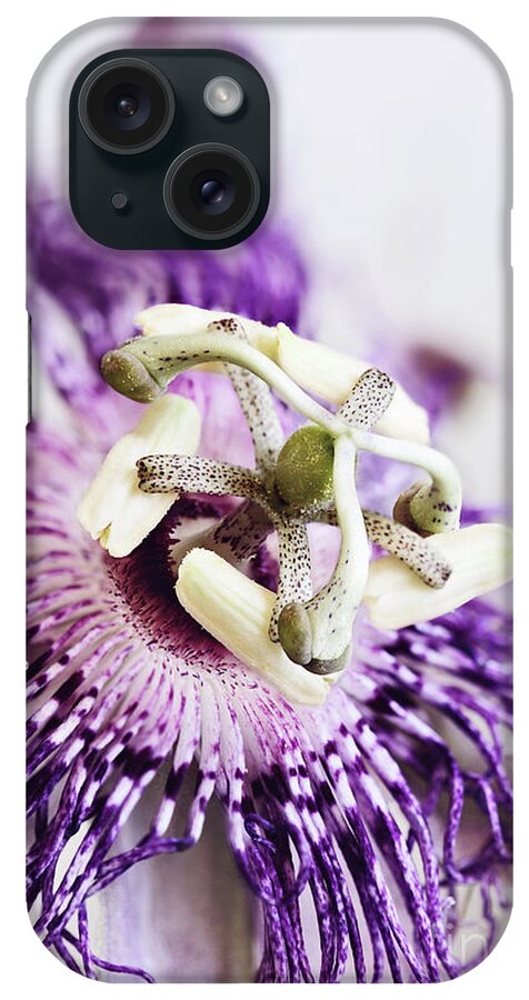 Passion Flower iPhone Case featuring the photograph Passion Flower by Stephanie Frey