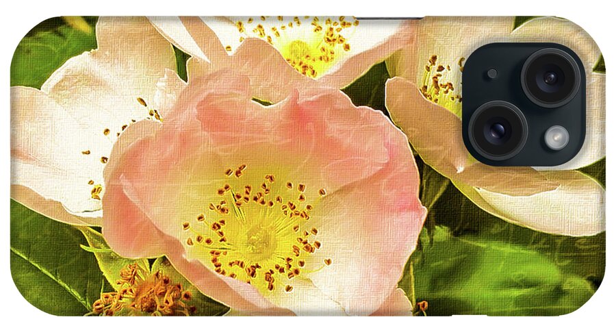 Mona Stut iPhone Case featuring the digital art Past And Present Roses by Mona Stut
