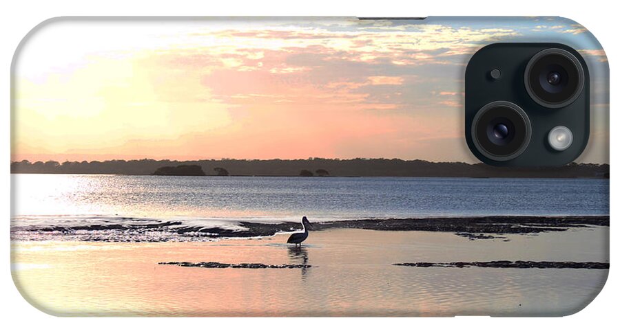Pelican iPhone Case featuring the photograph Pastel Pelican by Susan Vineyard