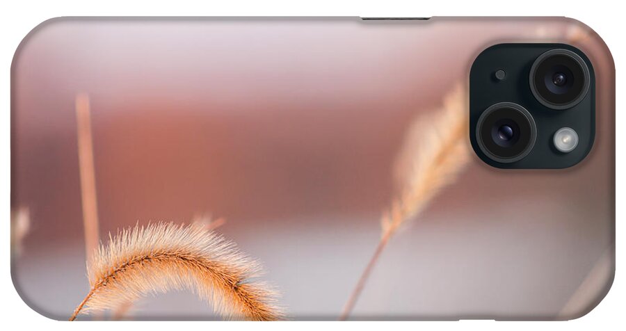 Weeds iPhone Case featuring the photograph Pastel Sunset by Holly Ross