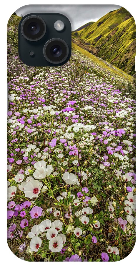 Blm iPhone Case featuring the photograph Pastel Super Bloom by Peter Tellone