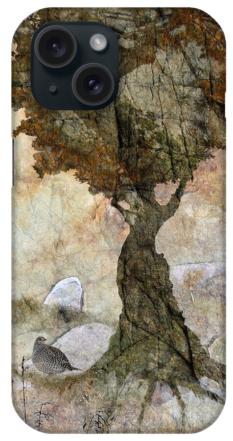 Tree iPhone Case featuring the photograph Pastoria - Year of the Dragon by Ed Hall