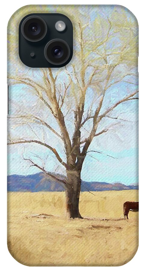 Arizona iPhone Case featuring the photograph Patagonia Pasture 2 by Teresa Wilson