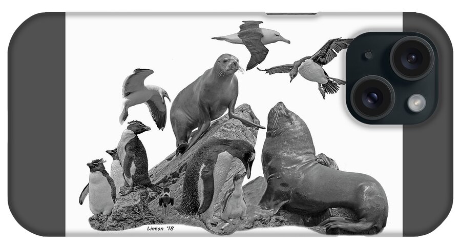 Patagonian Wildlife iPhone Case featuring the photograph Patagonian Wildlife by Larry Linton