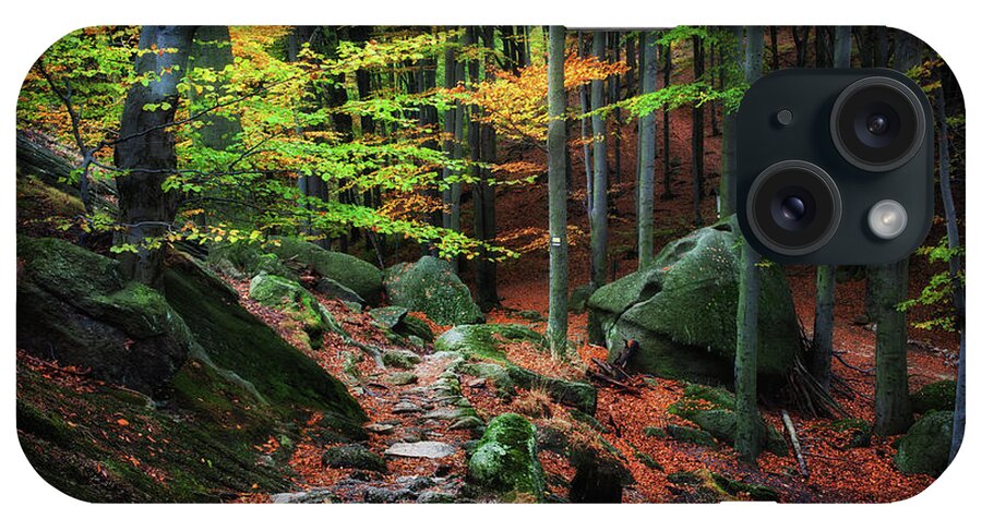 Forest iPhone Case featuring the photograph Path in Autumn Forest Picturesque Scenery by Artur Bogacki