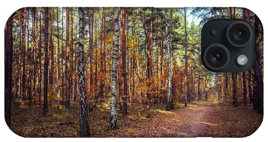 Poland iPhone Case featuring the photograph Pathway in the autumn forest by Dmytro Korol