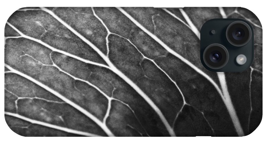 Black And White iPhone Case featuring the photograph Pathways to the Patch by Christi Kraft