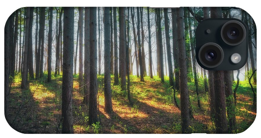 Wisconsin Landscape iPhone Case featuring the photograph Peaceful Forest - Spring at Retzer Nature Center by Jennifer Rondinelli Reilly - Fine Art Photography