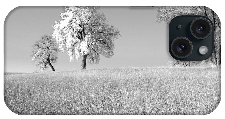 Fine Art Tree In Field Photography. Fine Art Tree Greating Cards. Black And White Greeting Cards. Fine Wall Art Photography. Wall Art Greeting Cards. Field Photography. Tree Pictures. Pictures Of Trees iPhone Case featuring the photograph Peaceful by James Steele