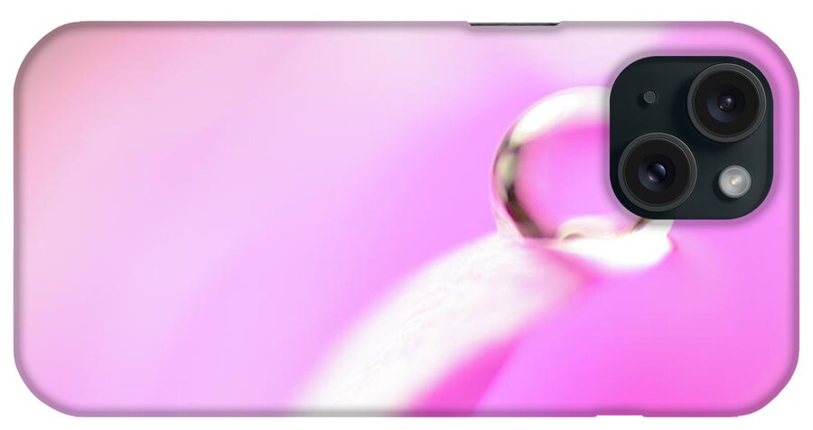 Bokeh iPhone Case featuring the photograph Peaceful Offering by Sandra Parlow