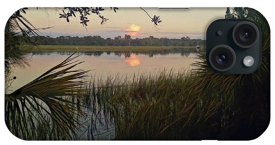 Palmetto iPhone Case featuring the photograph Peaceful Palmettos by Sherry Kuhlkin