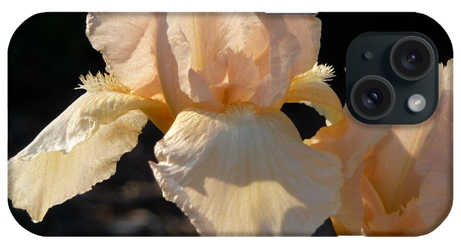 Flower. Iris iPhone Case featuring the photograph Peach Bearded Iris by Ruth Kamenev