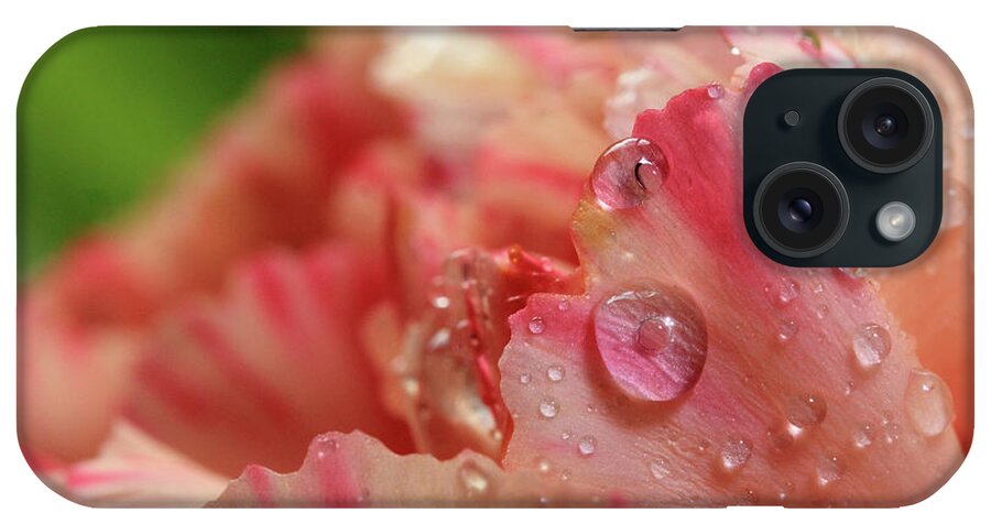 Carnation iPhone Case featuring the photograph Peach and Pink Carnation Petals by Angela Murdock