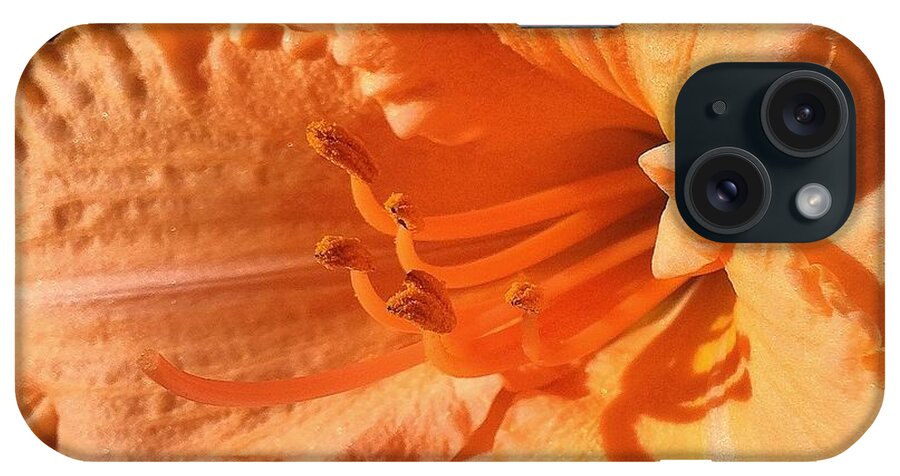 Flora iPhone Case featuring the photograph Peach Daylily by Bruce Bley