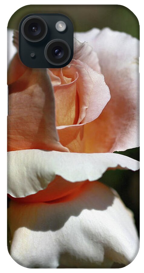 Flower iPhone Case featuring the photograph Peach Rosebud In Sunlight by Smilin Eyes Treasures