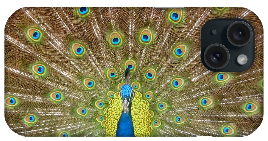Peacock iPhone Case featuring the photograph Peacock by David Lee Thompson