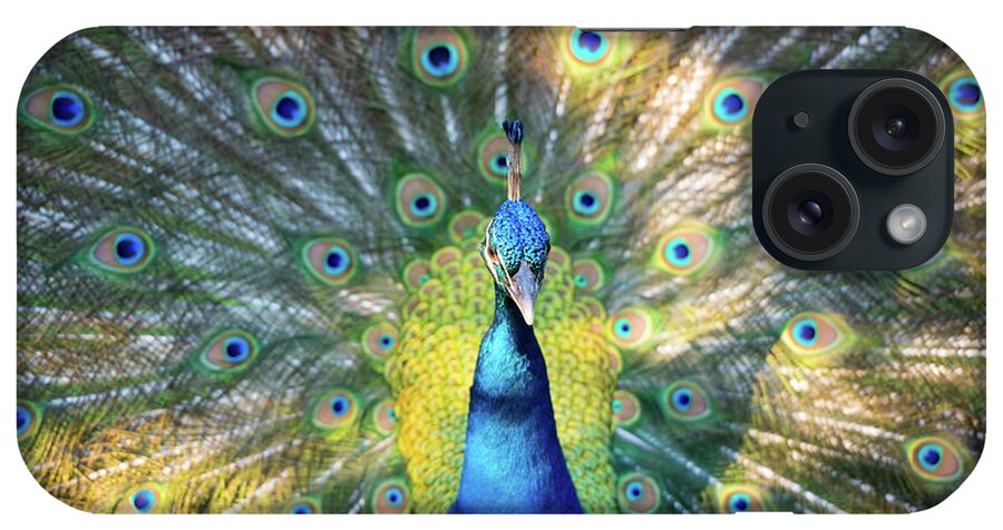 Peacock iPhone Case featuring the photograph Peacock Magnolia Gardens Charleston SC Wildlife Nature by Dave Allen