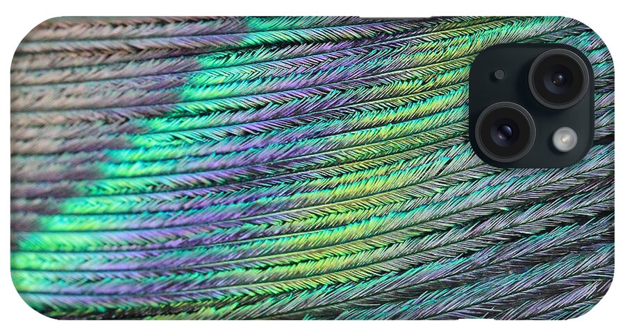 Peacock iPhone Case featuring the photograph Peacock Stripes by Angela Murdock
