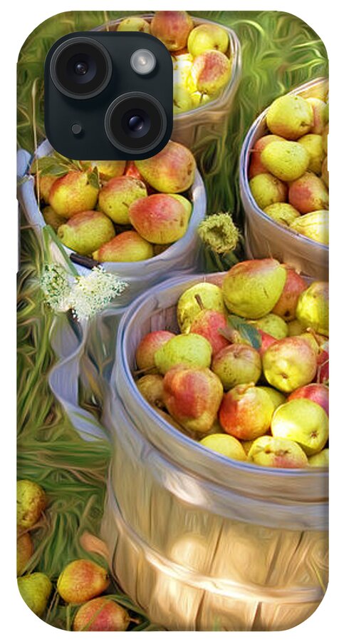 Bartlet iPhone Case featuring the photograph Pear Harvest #1 by George Robinson