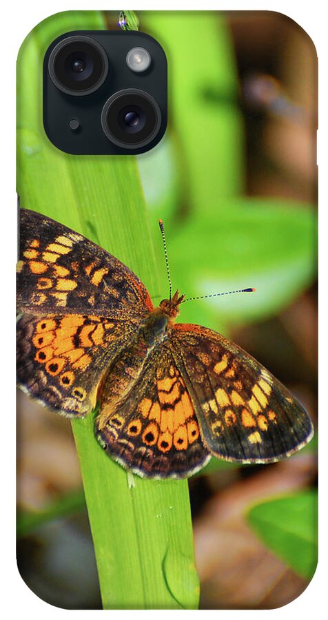 Butterfly iPhone Case featuring the photograph Pearl Crescent Butterfly by Christina Rollo