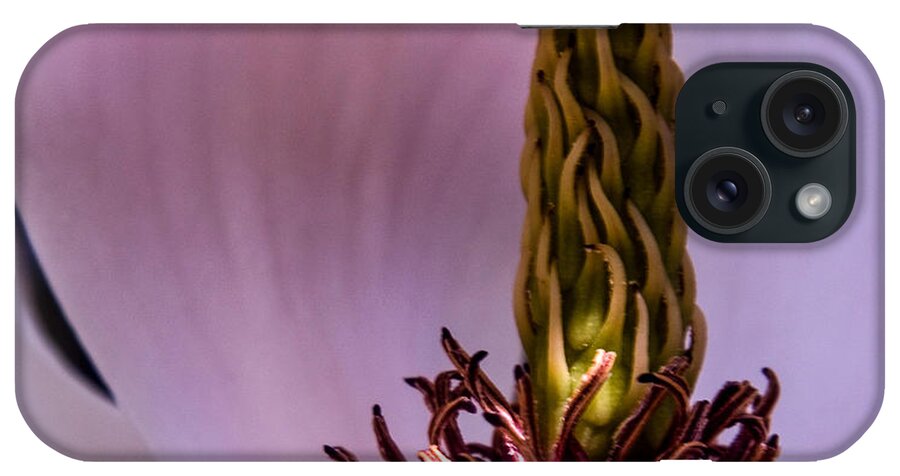 Magnolia iPhone Case featuring the photograph Peek a Boo by Stewart Helberg