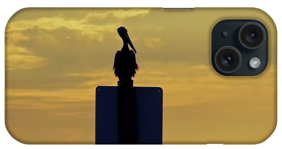 Sunset iPhone Case featuring the photograph Pelican At Sunset by D Hackett