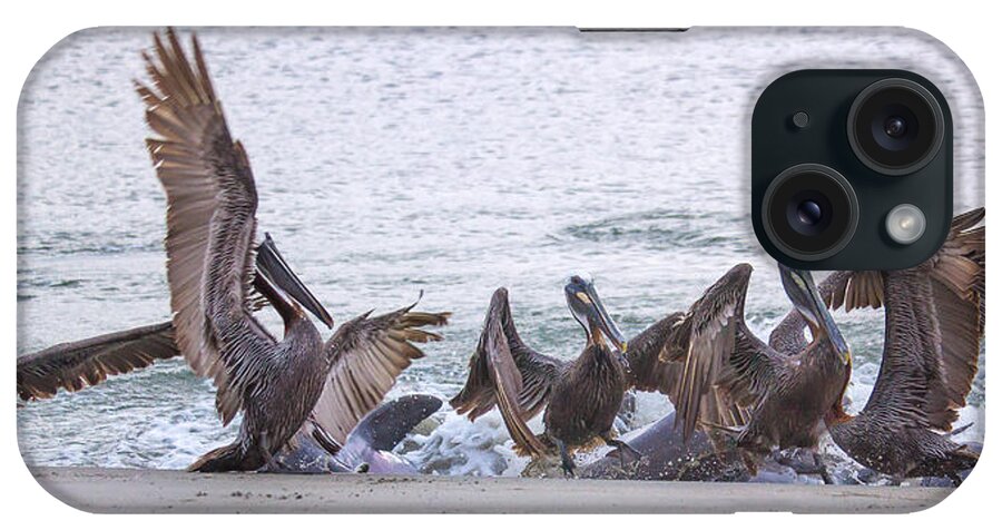 Pelican iPhone Case featuring the photograph Pelican Brunch by Patricia Schaefer