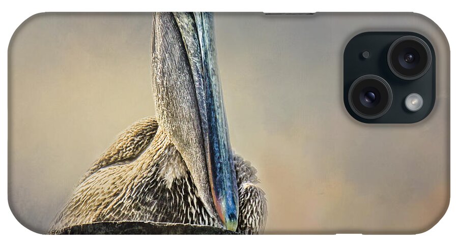 Pelicans iPhone Case featuring the photograph Pelican In Paradise Squared by TK Goforth