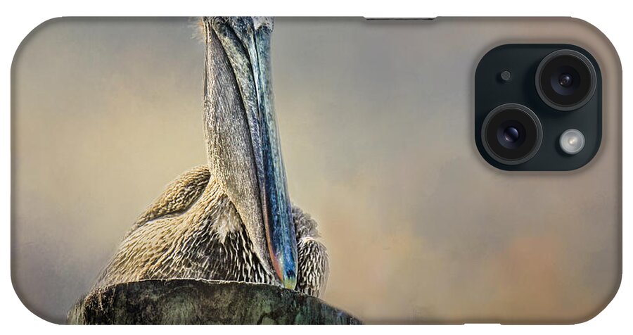Pelicans iPhone Case featuring the photograph Pelican In Paradise by TK Goforth