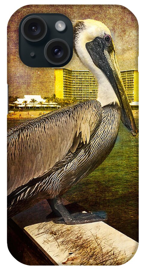 Pelican iPhone Case featuring the photograph Pelican On The Pier by Arlene Carmel