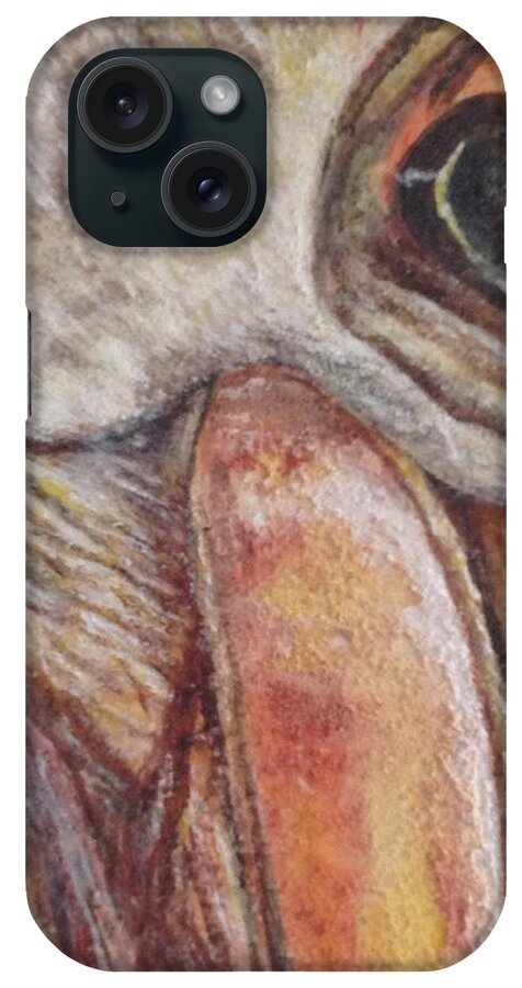 Endangered Species iPhone Case featuring the painting Pelican by Toni Willey