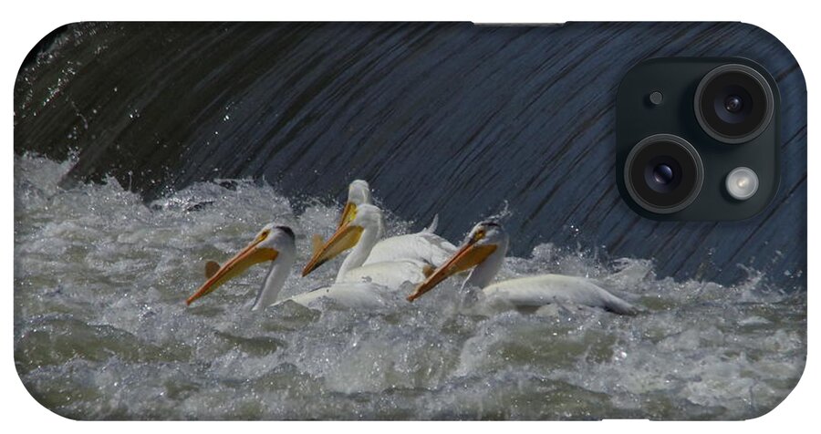 Birds iPhone Case featuring the photograph Pelicans in rough water by Jeff Swan