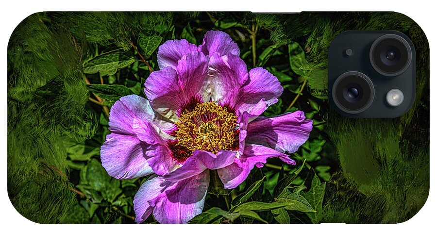 Peony iPhone Case featuring the photograph Peony #h5 by Leif Sohlman
