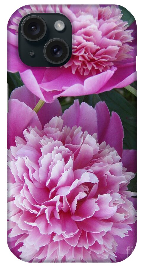 Peony iPhone Case featuring the photograph Peony by Kristine Nora