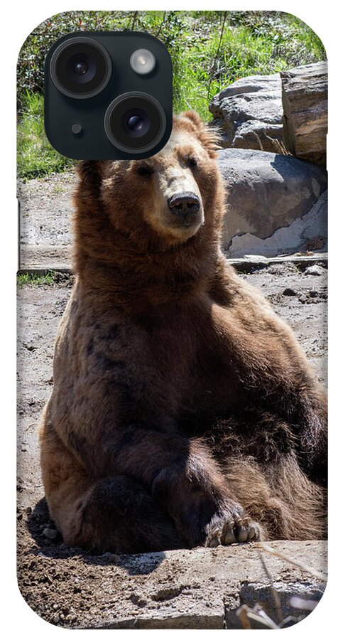 Brown Bear iPhone Case featuring the photograph People Watching by ChelleAnne Paradis