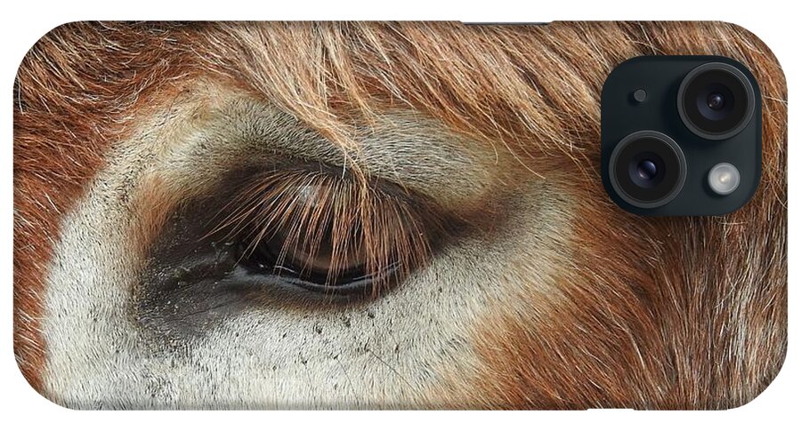 Donkey iPhone Case featuring the photograph Perception by Jan Gelders