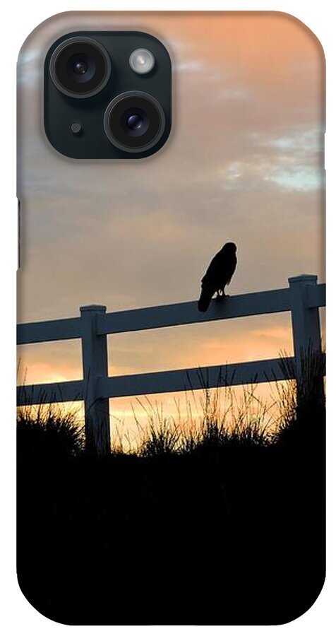 Hawk iPhone Case featuring the photograph Perched Hawk by Connor Beekman