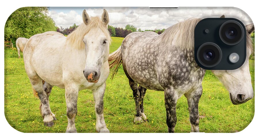 Horses iPhone Case featuring the photograph Percherons white horses, France by Delphimages Photo Creations