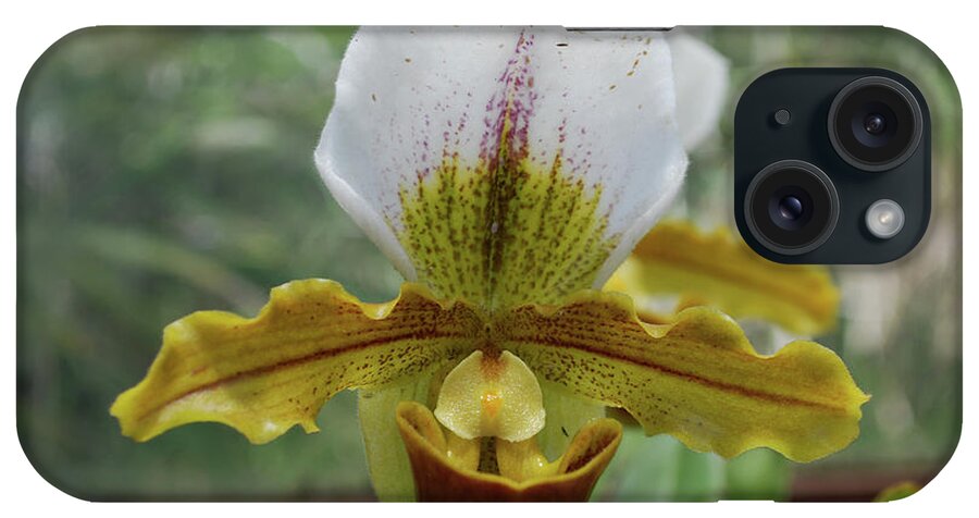 Orchid iPhone Case featuring the photograph Perfect White and Yellow Blooming Orchid Flower Blossom by DejaVu Designs