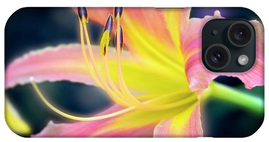 Beautiful iPhone Case featuring the photograph Perfection of a bloom. by Usha Peddamatham