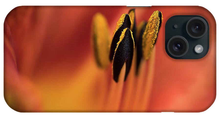 Deborah Scannell Photography iPhone Case featuring the photograph Persimmon Lilly by Deborah Scannell